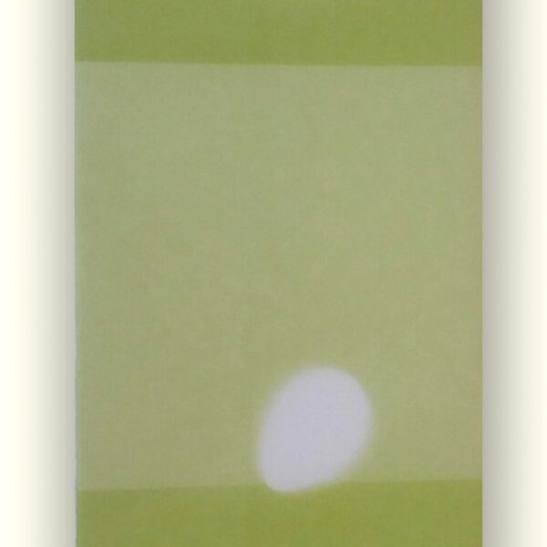 Scure Sale Verde 15.5x52cm
